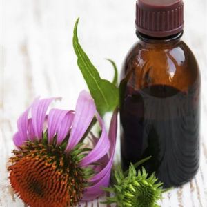 Herbal Tonic for Exam Stress